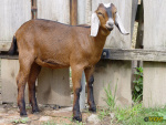 056_11t.jpg