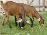 050_7m.jpg