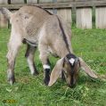 094.jpg