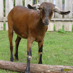 168.jpg