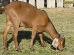 103.jpg