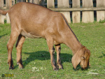 137.jpg