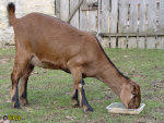 182.jpg