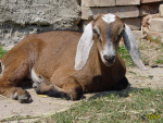 065.jpg