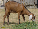 116.jpg
