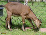 106.jpg