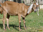 126.jpg