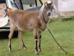206.jpg