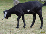 124.jpg