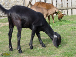 194.jpg