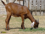 114.jpg