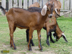 297.jpg