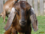 258.jpg