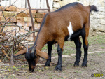 168.jpg