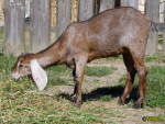 290_12t.jpg