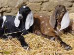 112_5t.jpg