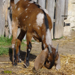 437_5m.jpg