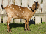 472_6m.jpg