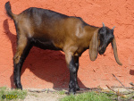181_11t.jpg