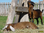 185_11t.jpg