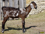 457_12t.jpg