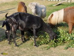 113.jpg