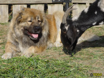 Filename=342_9.jpg
Filesize=111KB
Dimensions=600x450
Date added=Mar 09, 2019 342_9.jpg